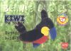 TY Beanie Babies BBOC Card - Series 1 Birthday (BLUE) - KIWI the Toucan (Mint)