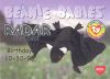 TY Beanie Babies BBOC Card - Series 1 Birthday (SILVER) - RADAR the Bat (Mint)