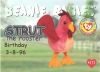 TY Beanie Babies BBOC Card - Series 1 Birthday (SILVER) - STRUT the Rooster (Mint)