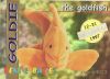 TY Beanie Babies BBOC Card - Series 1 Retired (GOLD) - GOLDIE the Goldfish (Mint)