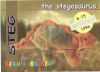 TY Beanie Babies BBOC Card - Series 1 Retired (GOLD) - STEG the Stegosaurus (Mint)