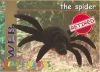 TY Beanie Babies BBOC Card - Series 1 Retired (RED) - WEB the Spider (Mint)