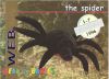 TY Beanie Babies BBOC Card - Series 1 Retired (SILVER) - WEB the Spider (Mint)