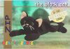 TY Beanie Babies BBOC Card - Series 1 Retired (GOLD) - ZIP the Black Cat (Mint)