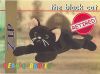 TY Beanie Babies BBOC Card - Series 1 Retired (RED) - ZIP the Black Cat (Mint)