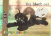 TY Beanie Babies BBOC Card - Series 1 Retired (SILVER) - ZIP the Black Cat (Mint)