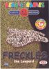 TY Beanie Babies BBOC Card - Series 2 Birthday (SILVER) - FRECKLES the Leopard (Mint)