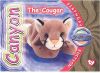 TY Beanie Babies BBOC Card - Series 4 Birthday (GOLD) - CANYON the Cougar (Mint)