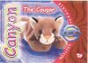 TY Beanie Babies BBOC Card - Series 4 Birthday (ORANGE) - CANYON the Cougar (Mint)