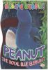 TY Beanie Babies BBOC Card - Series 4 - Beanie/Buddy Right (PURPLE) - PEANUT the Royal Blue Elephant