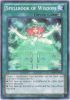 Yu-Gi-Oh Card - AP04-EN010 - SPELLBOOK OF WISDOM (super rare holo) (Mint)