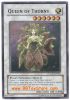 Yu-Gi-Oh Card - CSOC-EN042 - QUEEN OF THORNS (super rare holo) (Mint)