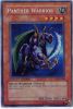 Yu-Gi-Oh Card - CT2-EN006 - PANTHER WARRIOR (secret rare holo) (Mint)