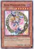 Yu-Gi-Oh Card - DPYG-EN008 - DARK MAGICIAN GIRL (super rare holo) (Mint)