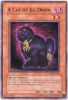 Yu-Gi-Oh Card - DR1-EN018 - A CAT OF ILL OMEN (common) (Mint)