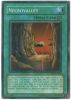 Yu-Gi-Oh Card - DR1-EN032 - NECROVALLEY (super rare holo) (Mint)