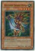 Yu-Gi-Oh Card - DR1-EN116 - AMAZONESS SWORDS WOMAN (super rare holo) (Mint)