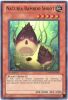 Yu-Gi-Oh Card - DREV-EN029 - NATURIA BAMBOO SHOOT (ultra rare holo) (Mint)