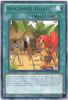 Yu-Gi-Oh Card - DREV-EN053 - AMAZONESS VILLAGE (rare) (Mint)