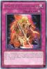 Yu-Gi-Oh Card - DREV-EN072 - AMAZONESS WILLPOWER (rare) (Mint)