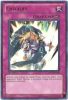 Yu-Gi-Oh Card - DREV-EN079 - CHIVALRY (ultra rare holo) (Mint)