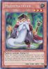 Yu-Gi-Oh Card - DRLG-EN023 - MATHEMATICIAN (secret rare holo) (Mint)