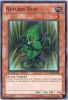 Yu-Gi-Oh Card - HA02-EN004 - NATURIA VEIN (super rare holo) (Mint)