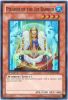 Yu-Gi-Oh Card - HA02-EN046 - PILGRIM OF THE ICE BARRIER (super rare holo) (Mint)