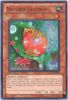 Yu-Gi-Oh Card - HA04-EN020 - NATURIA LADYBUG (super rare holo) (Mint)