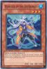 Yu-Gi-Oh Card - HA04-EN023 - WARLOCK OF THE ICE BARRIER (super rare holo) (Mint)