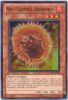 Yu-Gi-Oh Card - HA04-EN032 - NEO FLAMVELL HEDGEHOG (super rare holo) (Mint)