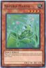 Yu-Gi-Oh Card - HA04-EN049 - NATURIA MANTIS (super rare holo) (Mint)