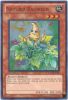 Yu-Gi-Oh Card - HA04-EN050 - NATURIA RAGWEED (super rare holo) (Mint)