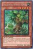 Yu-Gi-Oh Card - HA04-EN051 - NATURIA WHITE OAK (secret rare holo) (Mint)