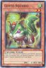 Yu-Gi-Oh Card - HA06-EN011 - GUSTO SQUIRRO (super rare holo) (Mint)