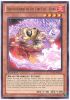 Yu-Gi-Oh Card - JOTL-EN026 - BROTHERHOOD OF THE FIRE FIST - BOAR (rare) (Mint)