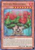 Yu-Gi-Oh Card - LVAL-EN020 - SYLVAN HERMITREE (ultra rare holo)