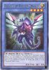 Yu-Gi-Oh Card - LVAL-EN045 - PALADIN OF PHOTON DRAGON (rare) (Mint)