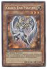 Yu-Gi-Oh Card - RGBT-EN092 - CHAOS-END MASTER (secret rare holo) (Mint)