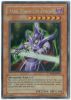 Yu-Gi-Oh Card - ROD-EN001 - DARK MAGICIAN KNIGHT (parallel holo) (Mint)