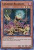 Yu-Gi-Oh Card - MYFI-EN042 - LONEFIRE BLOSSOM (super rare holo) (Mint)