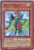 Yu-Gi-Oh Card - TSHD-EN018 - BIRD OF ROSES (super rare holo) (Mint)